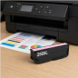 Compatible Epson 250XL Light Magenta Ink Cartridge - EI-250XLLMG