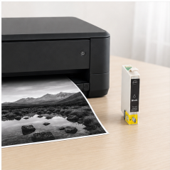 Cartouche Epson T3361/T3341 photo noir compatible