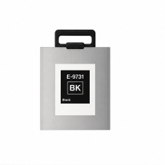 Cartouche d’encre noire pigmentée Epson T9731, remplace C13T973100