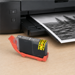 Cartouche Canon CLI-42GY compatible gris 13 ml
