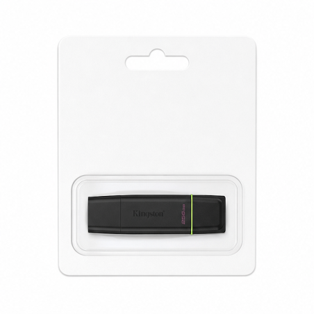 Kingston DataTraveler Exodia 256 Go USB