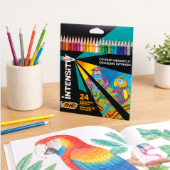 Crayons BIC Intensity Triangle Compatible x24