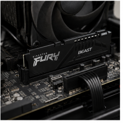 Kingston FURY Beast Compatible DDR5 16 Go 5600