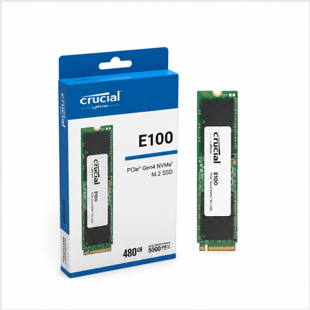 Crucial E100 480 Go M.2 NVMe PCIe 4.0