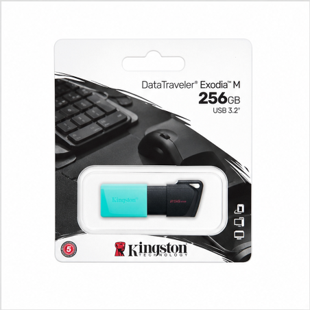 Clé USB Kingston Exodia M 256 Go USB