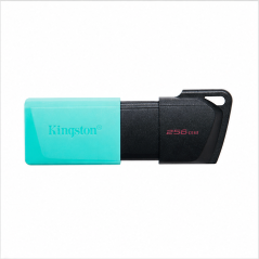 Clé USB Kingston DataTraveler Exodia M 256 Go USB 3.2 Gen 1