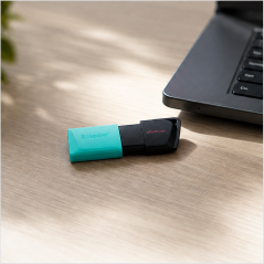 Clé USB Kingston Exodia M 256 Go USB