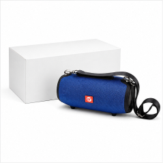 Coolsound Haut-parleur Bluetooth XL 10W