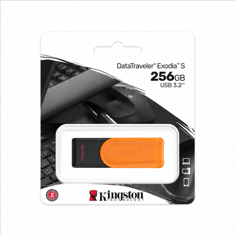 Kingston DataTraveler Exodia S 256 Go USB 3.2 Gen 1