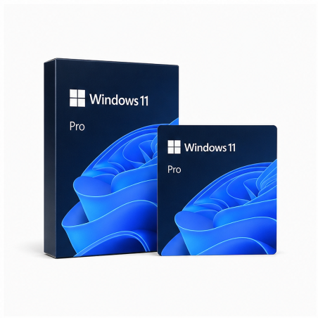 Microsoft Windows 11 Professionnel 64 bits OEM