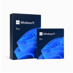 Microsoft Windows 11 Professionnel 64 bits OEM