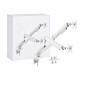 Tooq Desk Mount for 2 Screens 17-32" White