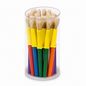Jovi Jumbo Paint Brushes 20 Medium Natural Bristle Brushes Jar