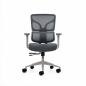 Oqonos Cherg 015 office chair, elastic mesh back and seat, 4D armrests, gray