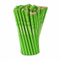 STABILO GREENgraph présentoir de 60 crayons graphite HB 2,2 mm, vert