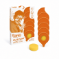 Jovi Face Paint set of 6 8 ml pots