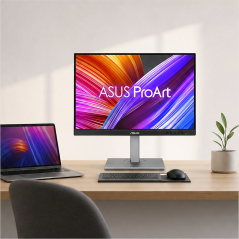 Asus ProArt Display PA248CNV 24,1" IPS WUXGA