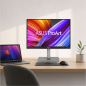 Asus ProArt Display PA248CNV 24,1" IPS WUXGA