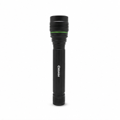 Cegasa 1000 lm LED Flashlight in Aluminum