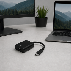 Aisens adaptateur USB-C DisplayPort 4K 60 Hz 15 cm