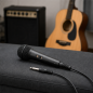 Microphone NGS Singer Fire
