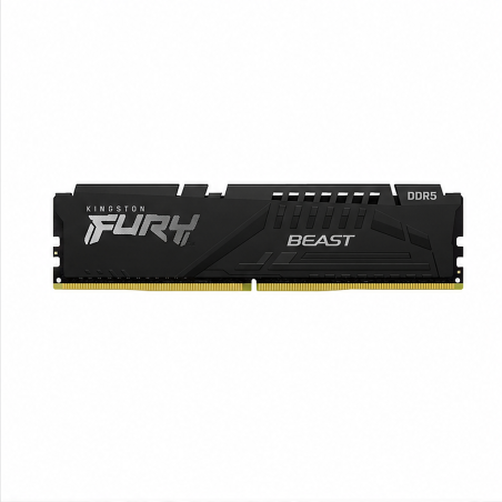 Kingston FURY Beast DDR5 5600MT/s 32 Go CL40