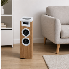 Thomson DS121CD Tour de son Bluetooth 60 W