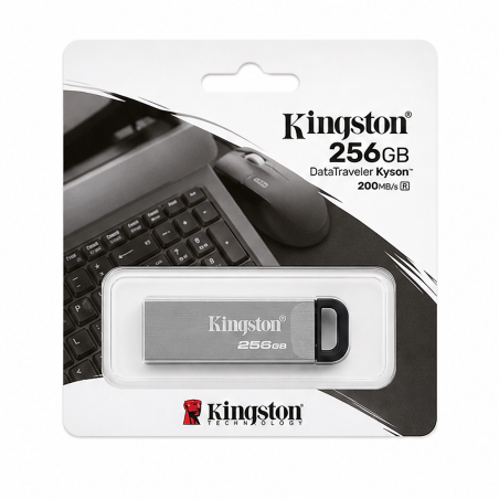 Kingston DataTraveler Kyson 256 Go USB 3.2 Gen 1