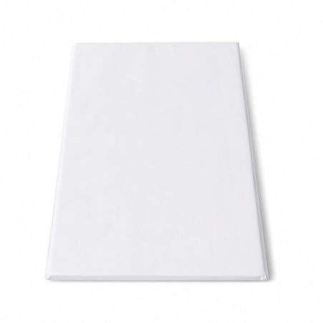 Brother PA-C-411 papier thermique A4 100 feuilles