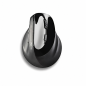 Souris ergonomique sans fil NGS Evo Moksha