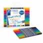 Staedtler 3004 Feutres de calligraphie double pointe, étui de 12 couleurs