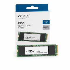 Crucial E100 1 To SSD M.2 NVMe PCIe 4.0