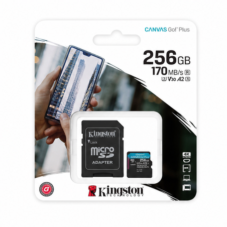 Kingston Canvas Go Plus microSDXC 256 Go | SD