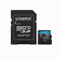 Kingston Canvas Go Plus microSDXC 256 Go avec adaptateur SD