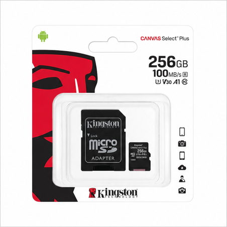Kingston Canvas Select Plus microSDXC 256 Go SD