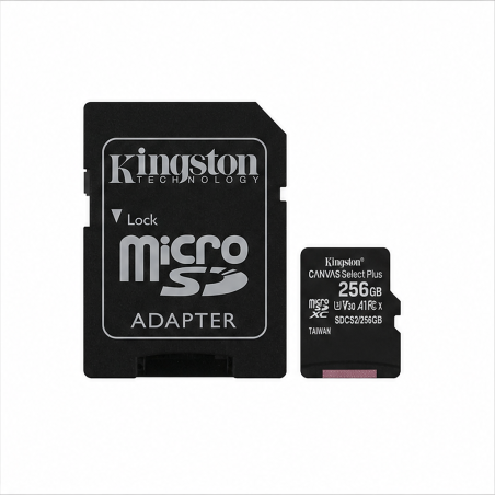 Kingston Canvas Select Plus microSDXC 256 Go avec adaptateur SD