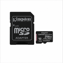 Kingston Canvas Select Plus microSDXC 256 Go SD