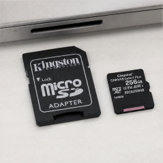 Kingston Canvas Select Plus microSDXC 256 Go SD
