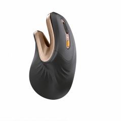 ProtoArc EM11 NL Ergonomic Vertical Mouse Wireless