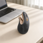ProtoArc EM11 NL Ergonomic Vertical Mouse