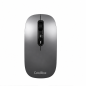 Souris sans fil Coolbox W02 IA grise