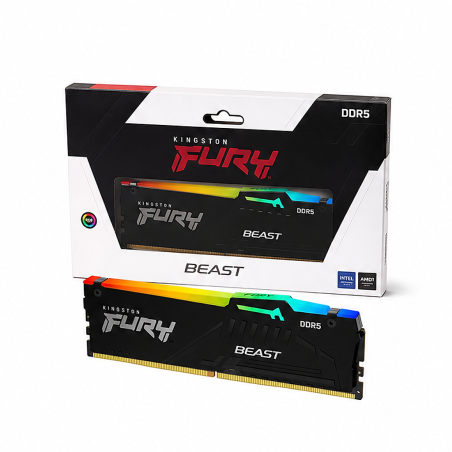 Kingston FURY Beast DDR5 16 Go 6000 MT/s CL30 RGB