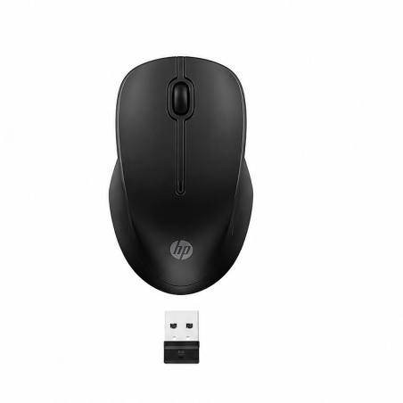 HP 255 Dual Wireless Mouse