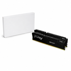 Kingston FURY Beast DDR5 32 Go 5200 CL40 | Mémoire