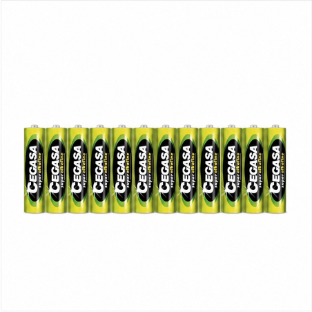 Cegasa Super Alcaline 12-Pack AA Batteries