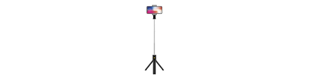 Perches à Selfies