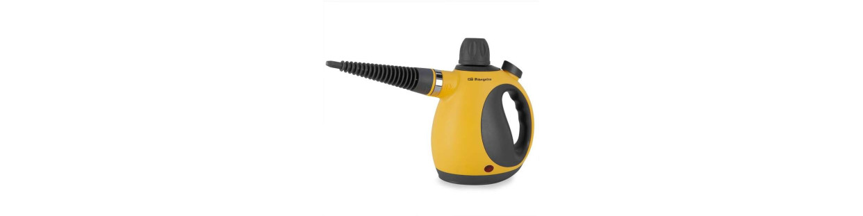 Nettoyeurs à vapeur