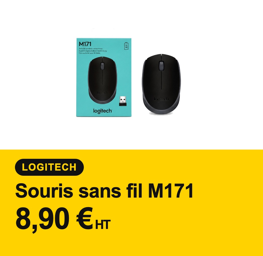 Souris sans fil Logitech M171